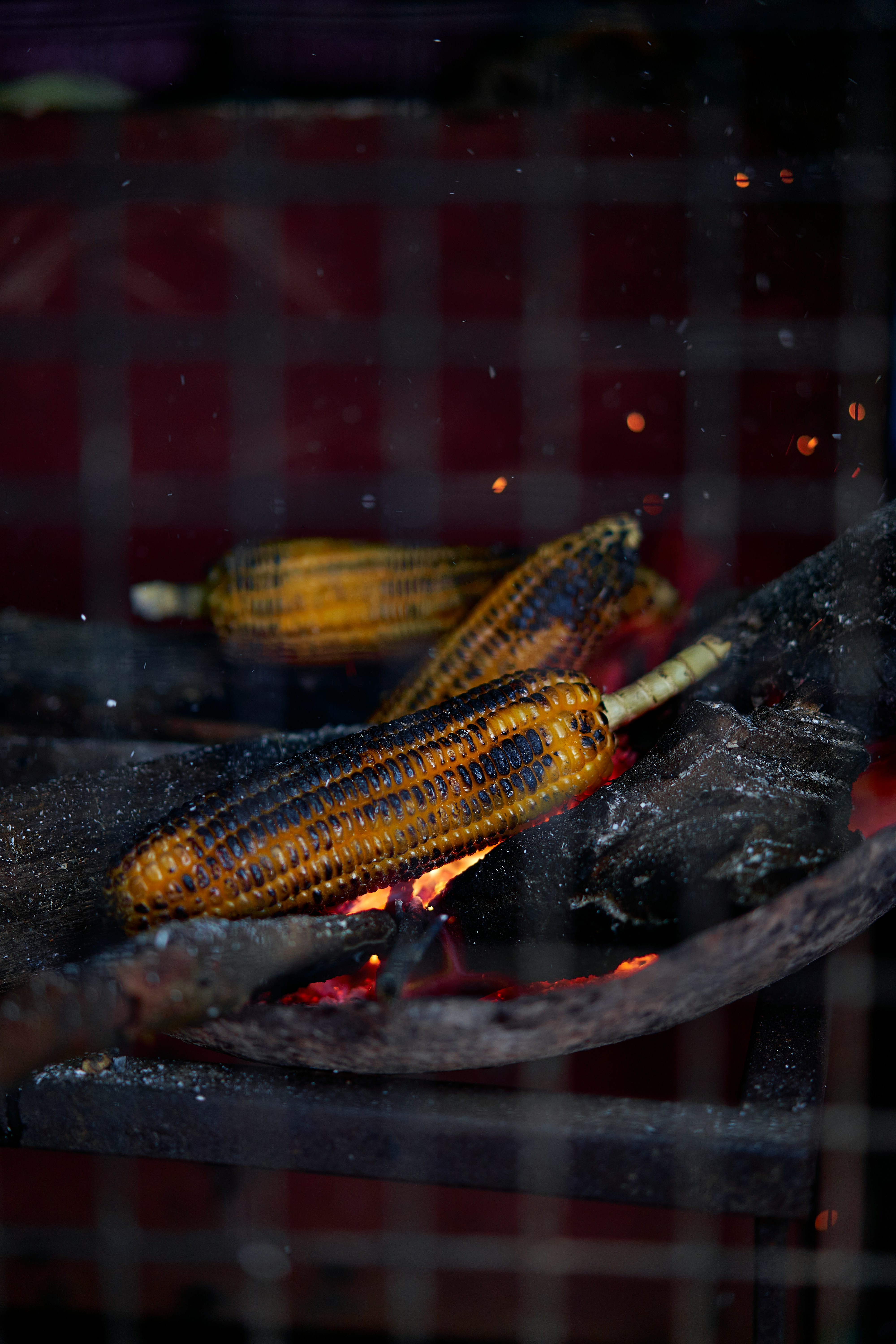 ashwini-chaudhary-monty from Unsplash 